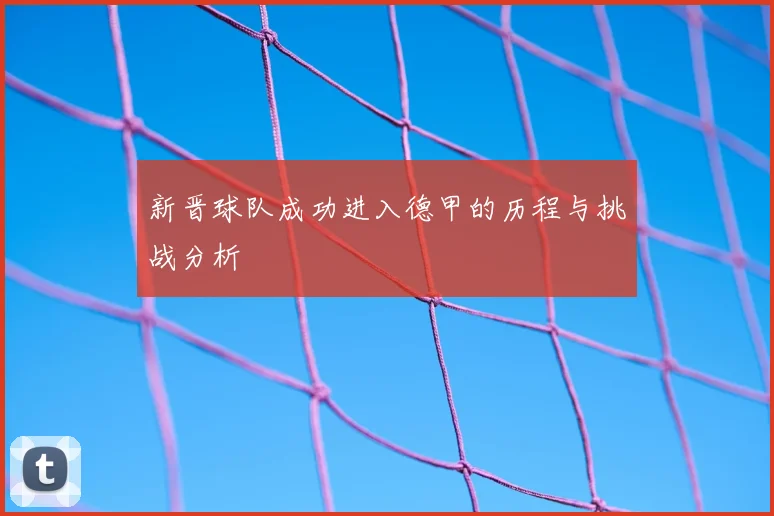 新晋球队成功进入德甲的历程与挑战分析